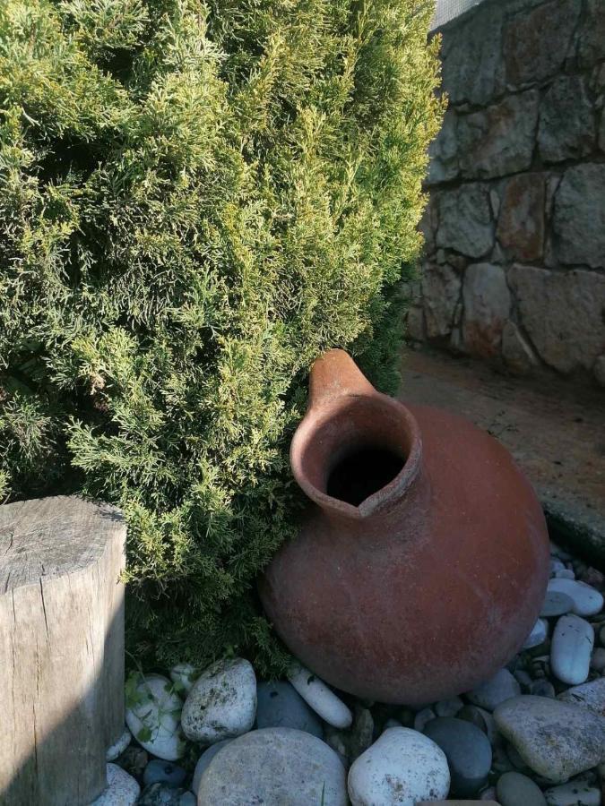 Villa Angela Dhrousha 외부 사진